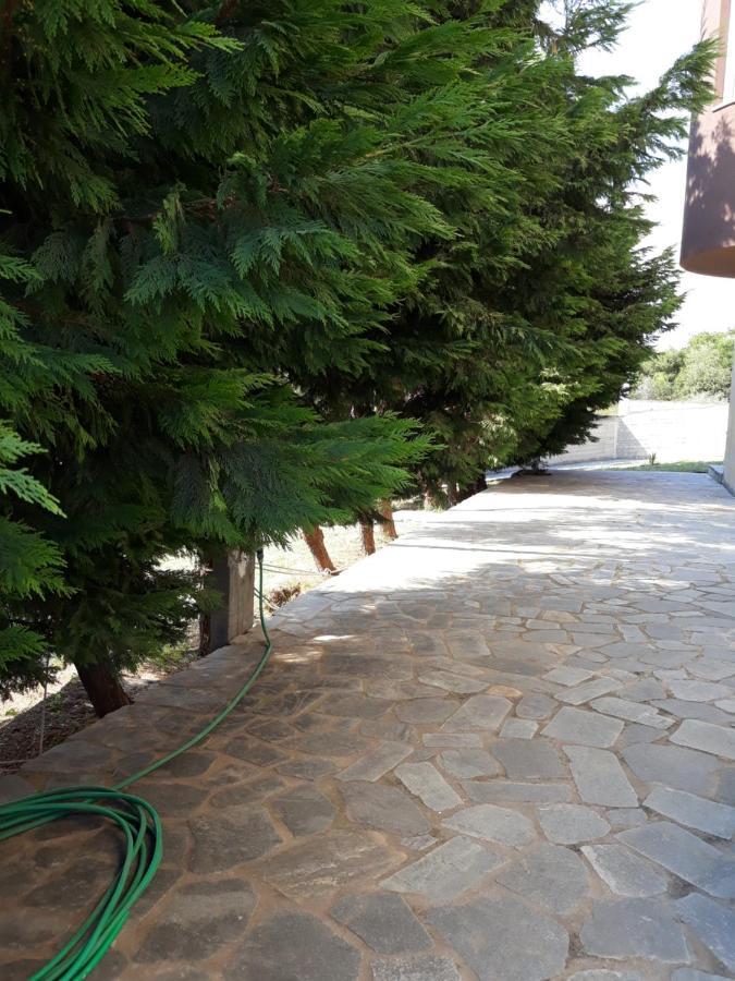 Apartment Ithakis Nea Iraklitsa Экстерьер фото